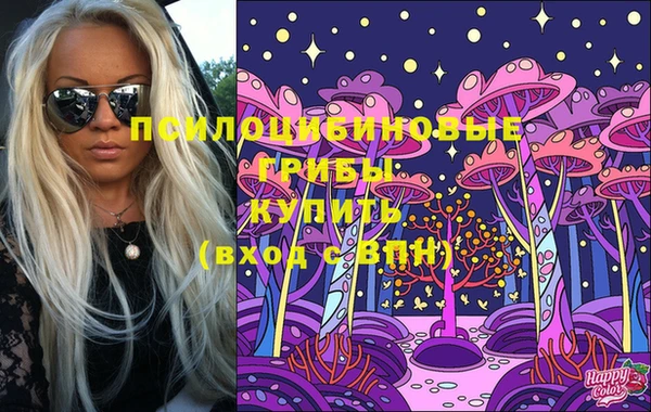 шишки Каменногорск