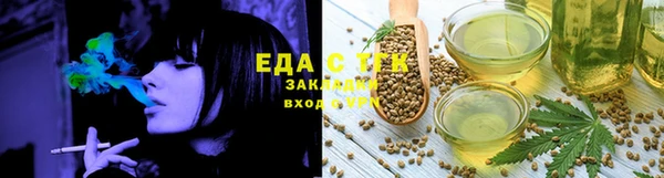 шишки Каменногорск
