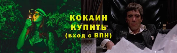 кокс Каменка