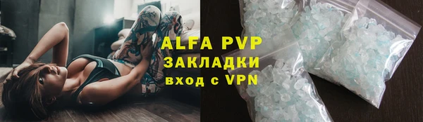 шишки Каменногорск