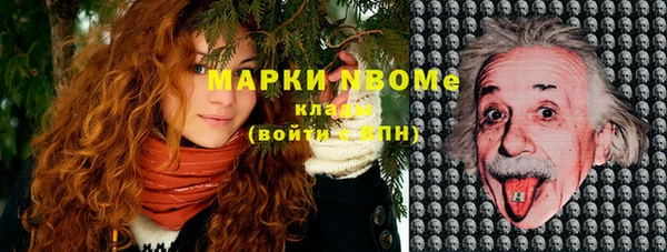 шишки Каменногорск
