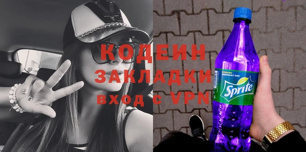 шишки Каменногорск
