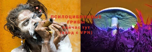 кокс Каменка