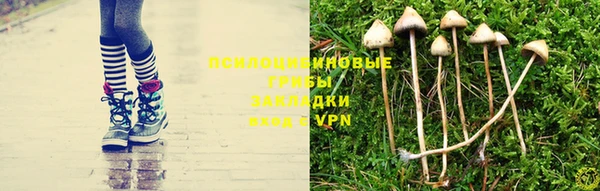 шишки Каменногорск