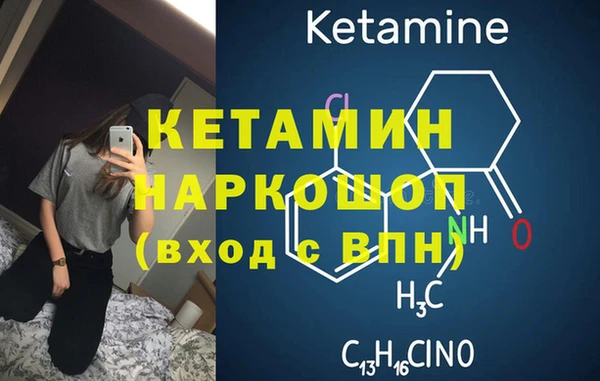 шишки Каменногорск