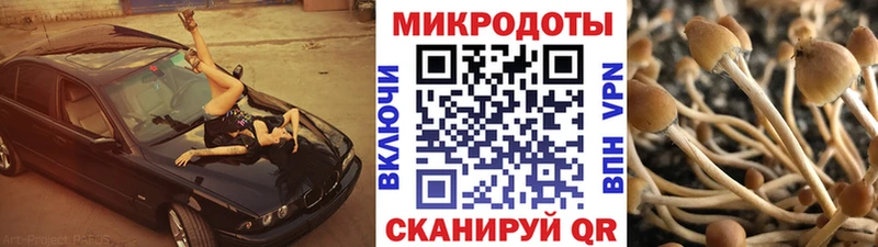 Галлюциногенные грибы MAGIC MUSHROOMS  Хотьково 